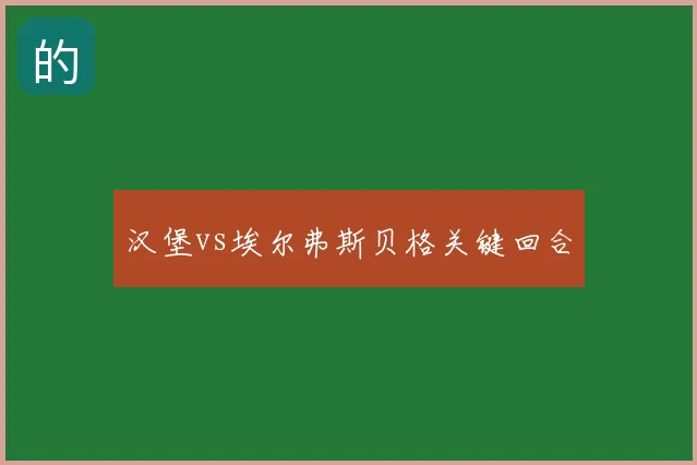汉堡vs埃尔弗斯贝格关键回合